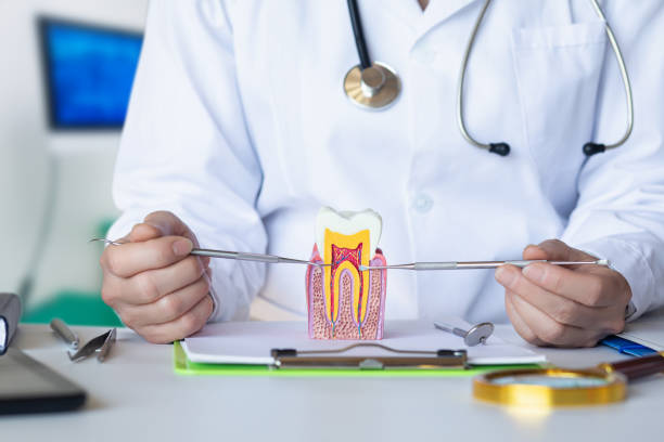 Best Root Canal Emergency Dentist  in Columbia, MS